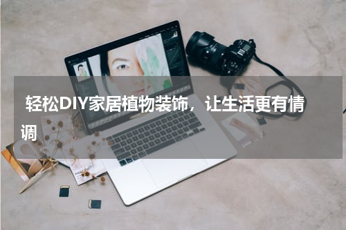  轻松DIY家居植物装饰，让生活更有情调