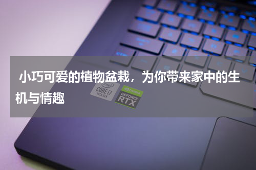  小巧可爱的植物盆栽，为你带来家中的生机与情趣