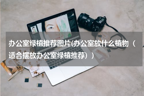 办公室绿植推荐图片(办公室放什么植物（适合摆放办公室绿植推荐）)