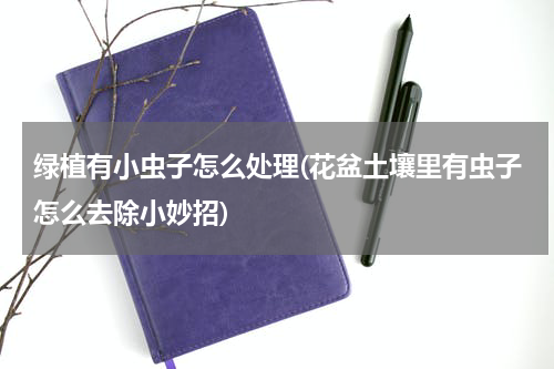 绿植有小虫子怎么处理(花盆土壤里有虫子怎么去除小妙招)