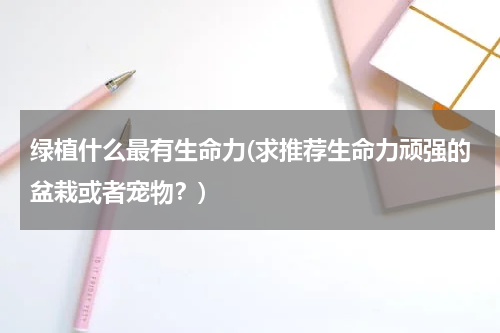 绿植什么最有生命力(求推荐生命力顽强的盆栽或者宠物？)