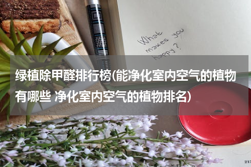 绿植除甲醛排行榜(能净化室内空气的植物有哪些 净化室内空气的植物排名)