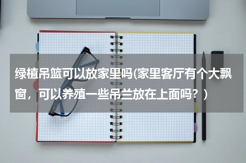 绿植吊篮可以放家里吗(家里客厅有个大飘窗，可以养殖一些吊兰放在上面吗？)