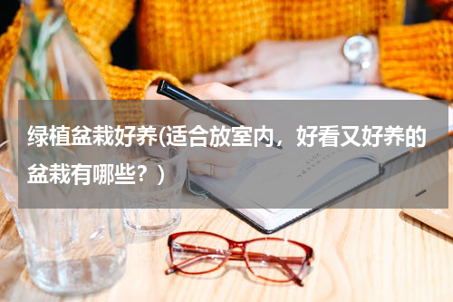 绿植盆栽好养(适合放室内，好看又好养的盆栽有哪些？)