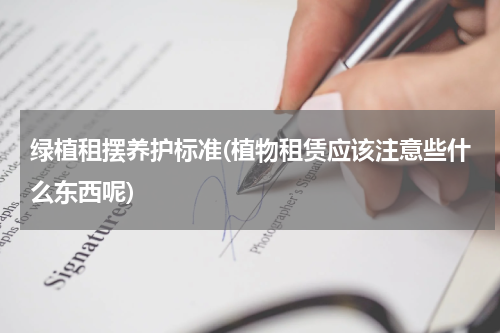 绿植租摆养护标准(植物租赁应该注意些什么东西呢)