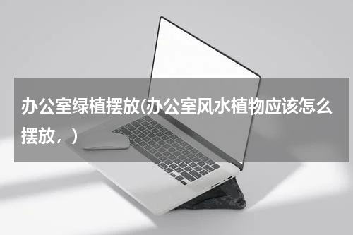 办公室绿植摆放(办公室风水植物应该怎么摆放，)