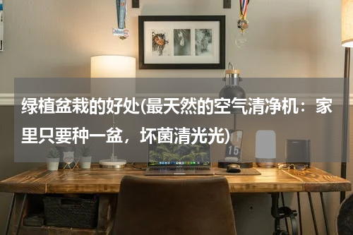 绿植盆栽的好处(最天然的空气清净机：家里只要种一盆，坏菌清光光)