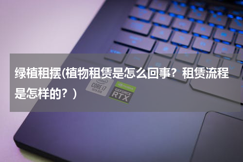 绿植租摆(植物租赁是怎么回事？租赁流程是怎样的？)