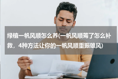 绿植一帆风顺怎么养(一帆风顺蔫了怎么补救，4种方法让你的一帆风顺重振雄风)