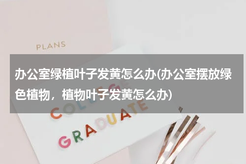 办公室绿植叶子发黄怎么办(办公室摆放绿色植物，植物叶子发黄怎么办)