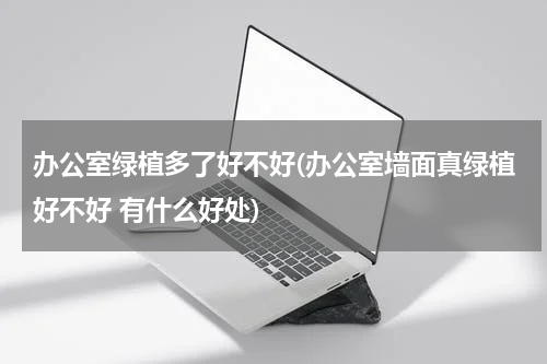 办公室绿植多了好不好(办公室墙面真绿植好不好 有什么好处)