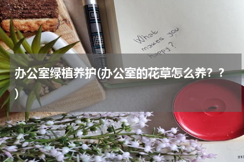 办公室绿植养护(办公室的花草怎么养？？)