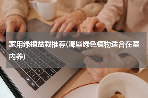 家用绿植盆栽推荐(哪些绿色植物适合在室内养)
