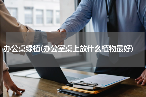 办公桌绿植(办公室桌上放什么植物最好)