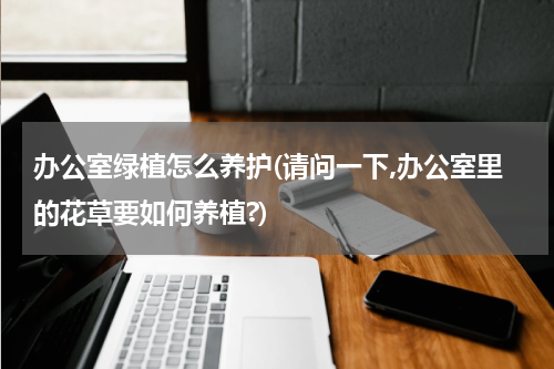 办公室绿植怎么养护(请问一下,办公室里的花草要如何养植?)