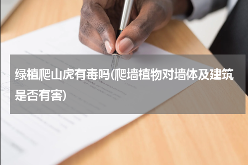绿植爬山虎有毒吗(爬墙植物对墙体及建筑是否有害)