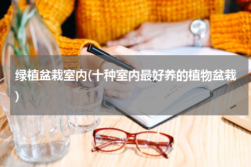 绿植盆栽室内(十种室内最好养的植物盆栽)