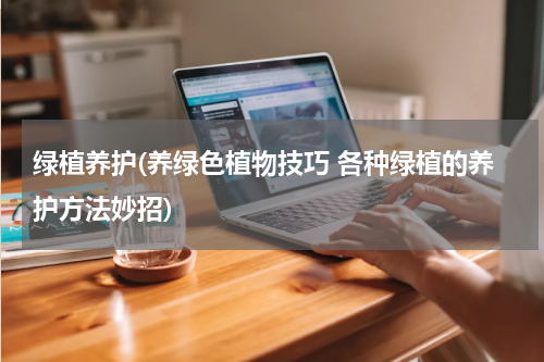 绿植养护(养绿色植物技巧 各种绿植的养护方法妙招)