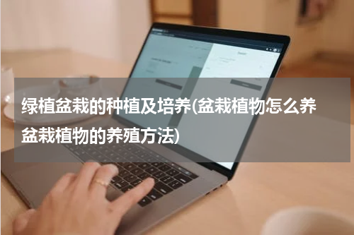 绿植盆栽的种植及培养(盆栽植物怎么养 盆栽植物的养殖方法)