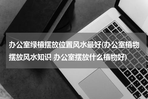办公室绿植摆放位置风水最好(办公室植物摆放风水知识 办公室摆放什么植物好)
