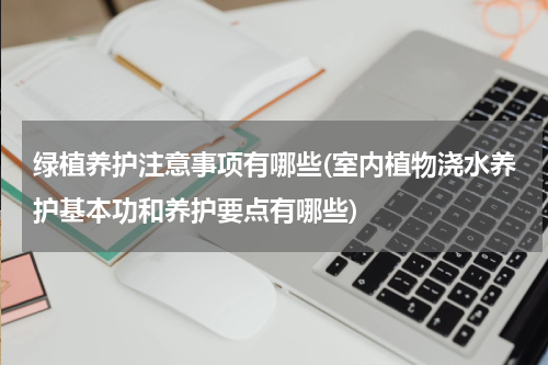 绿植养护注意事项有哪些(室内植物浇水养护基本功和养护要点有哪些)