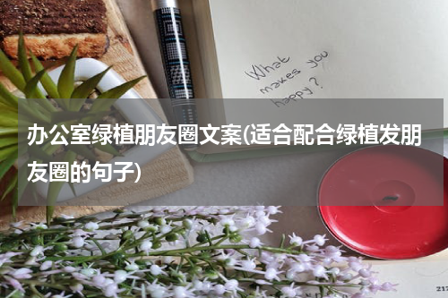 办公室绿植朋友圈文案(适合配合绿植发朋友圈的句子)