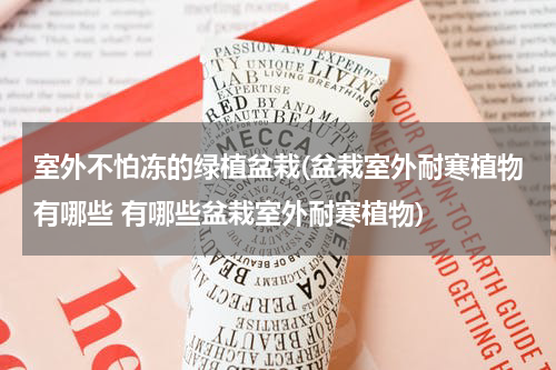 室外不怕冻的绿植盆栽(盆栽室外耐寒植物有哪些 有哪些盆栽室外耐寒植物)