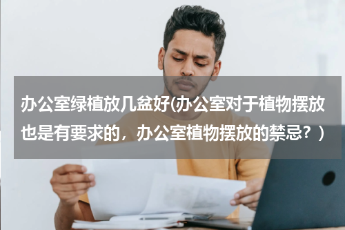 办公室绿植放几盆好(办公室对于植物摆放也是有要求的，办公室植物摆放的禁忌？)