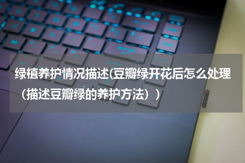 绿植养护情况描述(豆瓣绿开花后怎么处理（描述豆瓣绿的养护方法）)