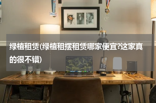 绿植租赁(绿植租摆租赁哪家便宜?这家真的很不错)