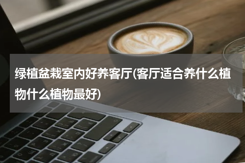 绿植盆栽室内好养客厅(客厅适合养什么植物什么植物最好)