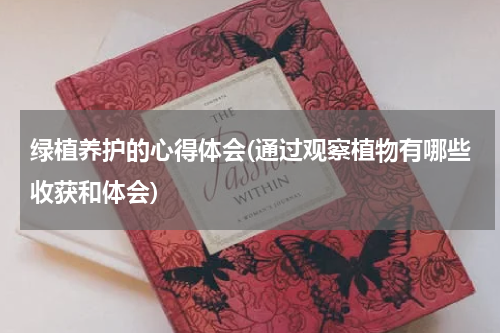 绿植养护的心得体会(通过观察植物有哪些收获和体会)