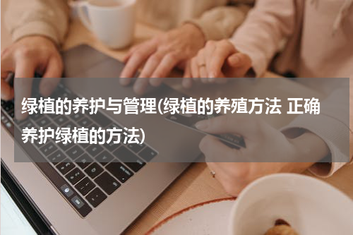 绿植的养护与管理(绿植的养殖方法 正确养护绿植的方法)