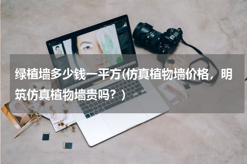 绿植墙多少钱一平方(仿真植物墙价格，明筑仿真植物墙贵吗？)