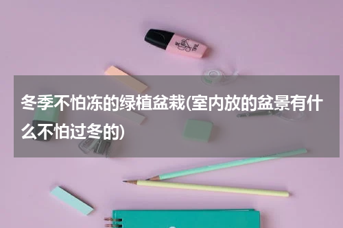 冬季不怕冻的绿植盆栽(室内放的盆景有什么不怕过冬的)