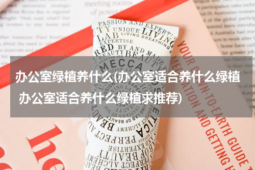 办公室绿植养什么(办公室适合养什么绿植 办公室适合养什么绿植求推荐)