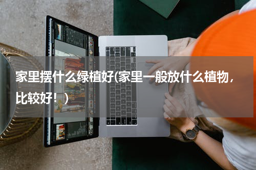 家里摆什么绿植好(家里一般放什么植物，比较好！)