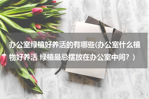 办公室绿植好养活的有哪些(办公室什么植物好养活 绿植最忌摆放在办公室中间？)