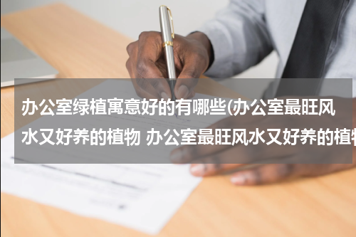 办公室绿植寓意好的有哪些(办公室最旺风水又好养的植物 办公室最旺风水又好养的植物有哪些)