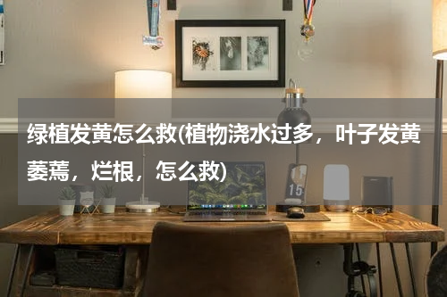 绿植发黄怎么救(植物浇水过多，叶子发黄萎蔫，烂根，怎么救)