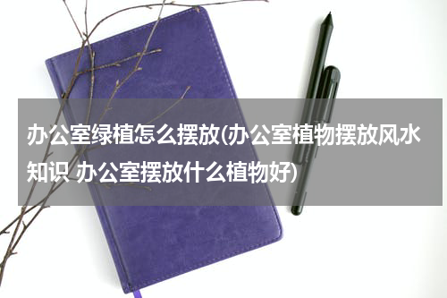 办公室绿植怎么摆放(办公室植物摆放风水知识 办公室摆放什么植物好)