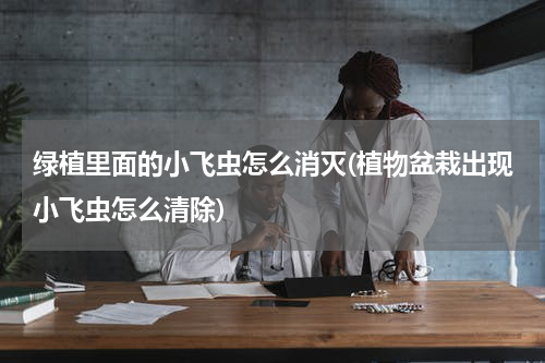 绿植里面的小飞虫怎么消灭(植物盆栽出现小飞虫怎么清除)