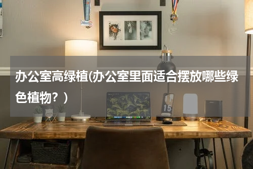 办公室高绿植(办公室里面适合摆放哪些绿色植物？)