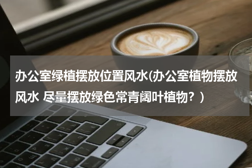 办公室绿植摆放位置风水(办公室植物摆放风水 尽量摆放绿色常青阔叶植物？)