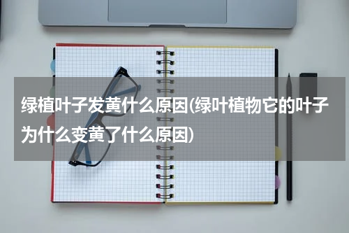绿植叶子发黄什么原因(绿叶植物它的叶子为什么变黄了什么原因)