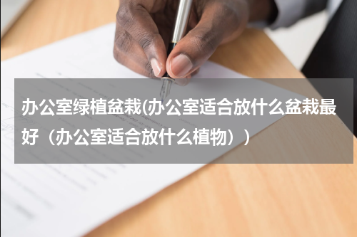 办公室绿植盆栽(办公室适合放什么盆栽最好（办公室适合放什么植物）)