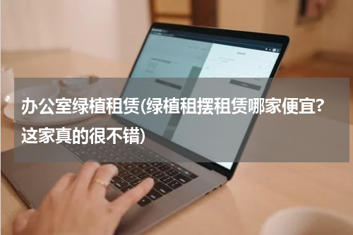 办公室绿植租赁(绿植租摆租赁哪家便宜?这家真的很不错)