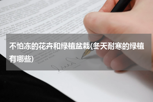 不怕冻的花卉和绿植盆栽(冬天耐寒的绿植有哪些)