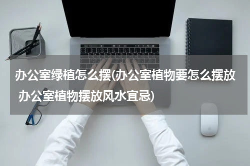 办公室绿植怎么摆(办公室植物要怎么摆放 办公室植物摆放风水宜忌)