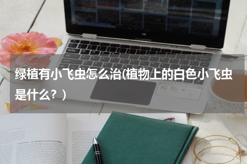 绿植有小飞虫怎么治(植物上的白色小飞虫是什么？)